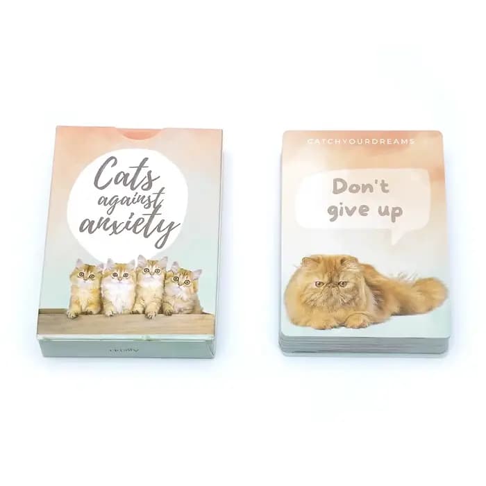 Cartes contre l'anxiété pour chats – 50 cartes pour l'autiste et le stress, affirmations pour les ém