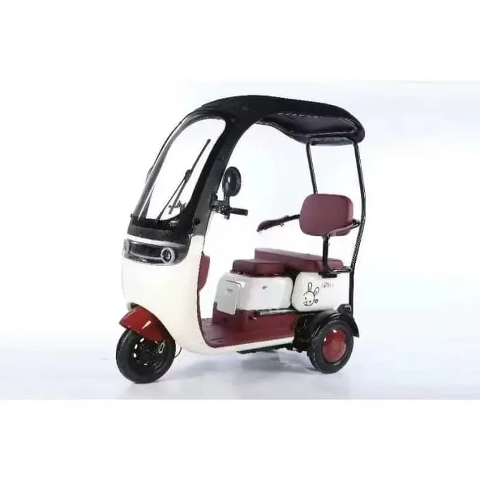 Tricycle électrique de Pedicab de longue portée de vélo de cargaison de 800W 3 roues avec le vélo él