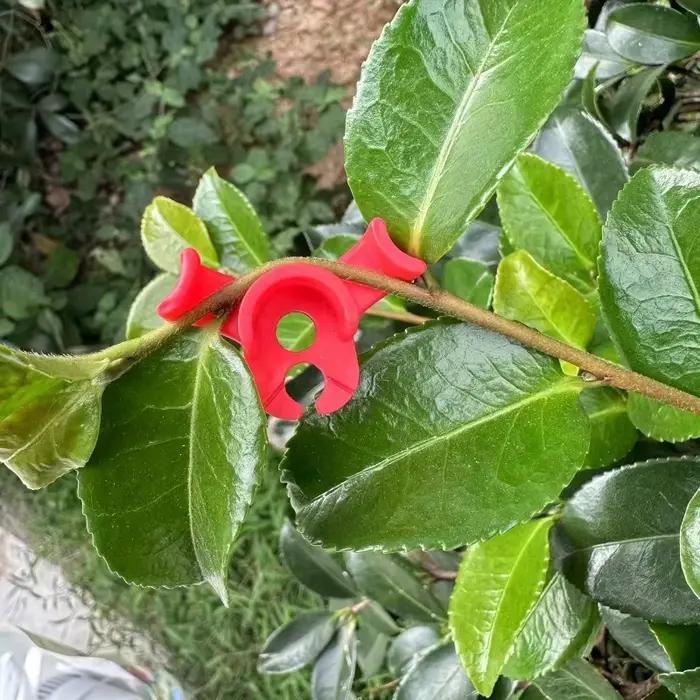 Redresseur de tiges de plantes, dispositif de pliage de plantes, pince d'entraînement à faible stress, pince d'entraînement réglable pour tiges de plantes