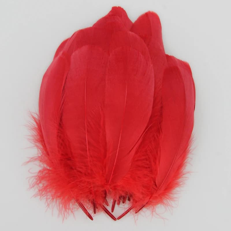 Plumes d'oie de haute qualité, 13-20cm de long, pour robe artisanale, vêtements, chapeaux, embelliss
