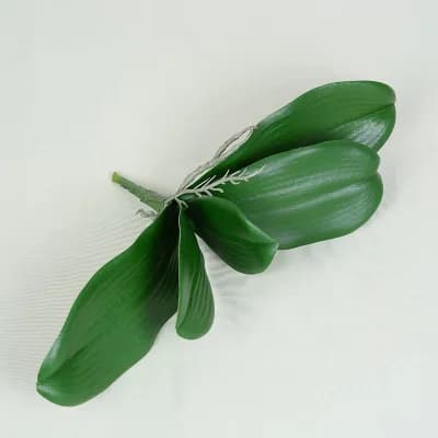 Feuille d'orchidée papillon artificielle de grande taille, toucher réel, plantes vertes en PU, acces