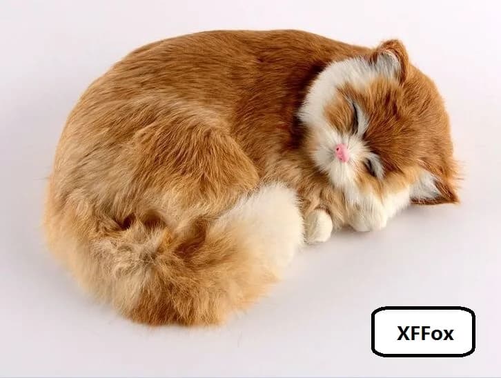 Beau modèle de chat endormi dans la vie réelle, chat jaune mignon en plastique et fourrures, cadeau 