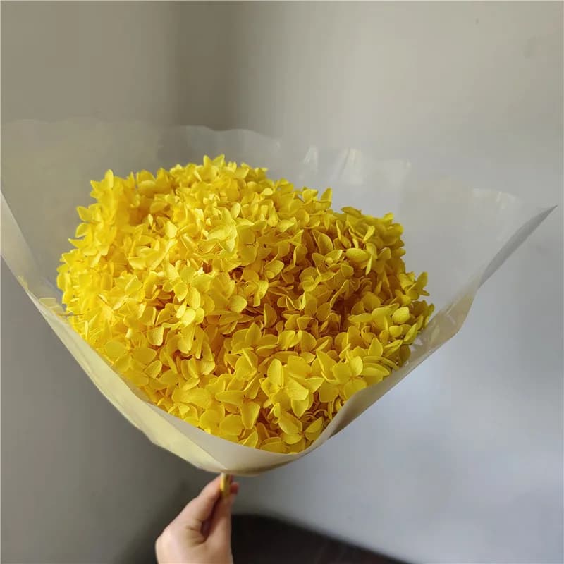 Tête d'Hortensia Naturelle Anna avec Tige, Petit Cuir oral elu, Décoration de ix, Mariage, Fleuriste