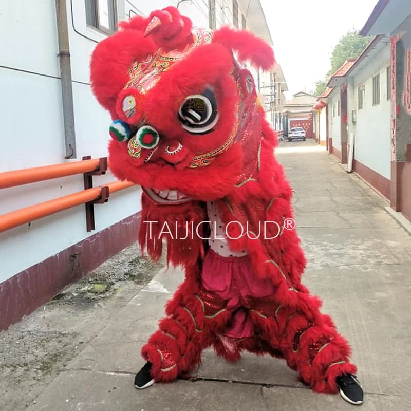 Accessoires de danse du Lion du sud pour adultes, utilisation à double performance, lanterne de drag