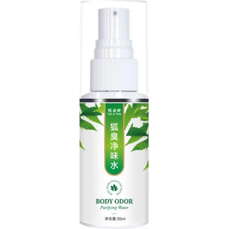 Lot de 1/2/3 sprays déodorants puissants pour aisselles, protection longue durée contre les odeurs, 