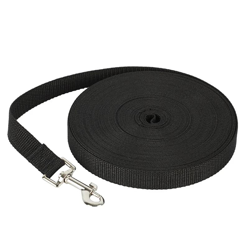 Laisses pour animaux de compagnie plus longues, corde d'entraînement en plein air, ceinture de laiss