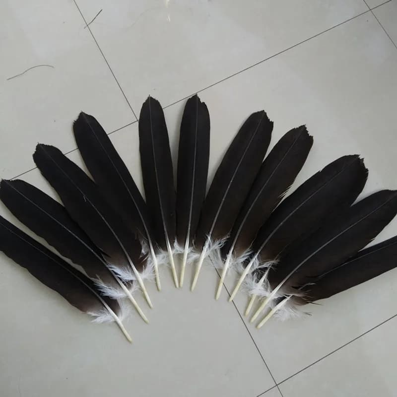 Lot de 12 plumes naturelles rares en forme de queue d'aigle, longueur de 40 à 45 cm, 16 à 18 pouces,