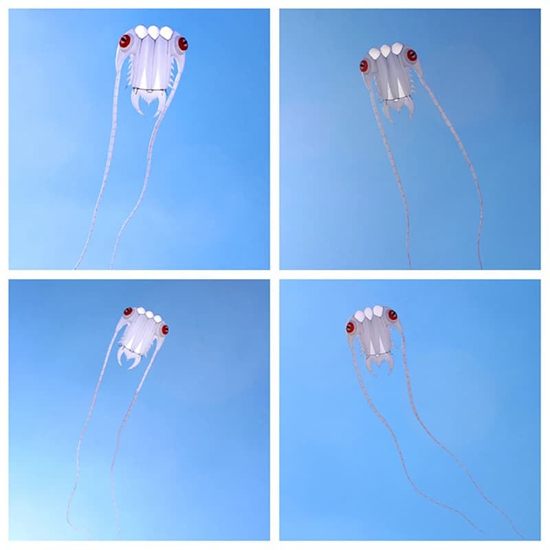 Cerf-volant géant Trilobites Weifang pour adultes, avec enrouleur, jouet d'extérieur professionnel, 