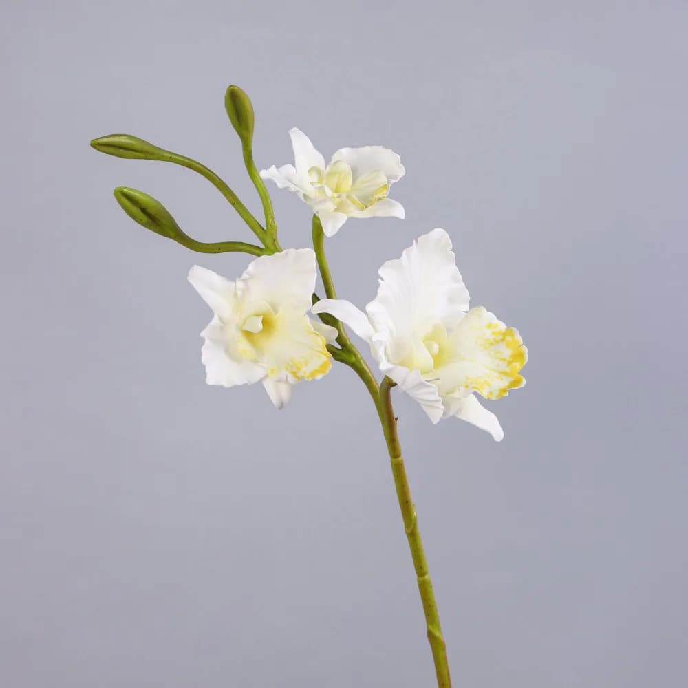 Fleurs d'orchidées artificielles réalistes, toucher réel, longue tige avec boutons, tige d'orchidée 