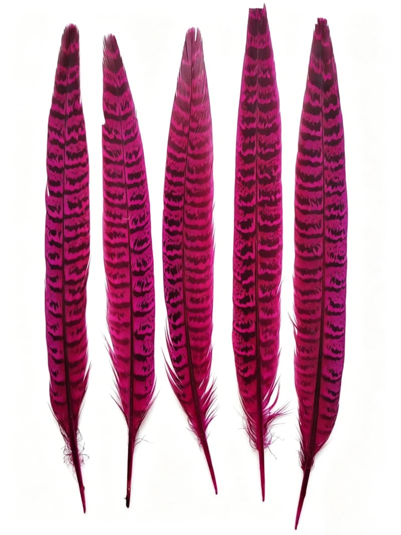 10 Plumes de queue de faisan collier naturelles, 8-10 pouces (20-25 cm), plumes décoratives pour l'a