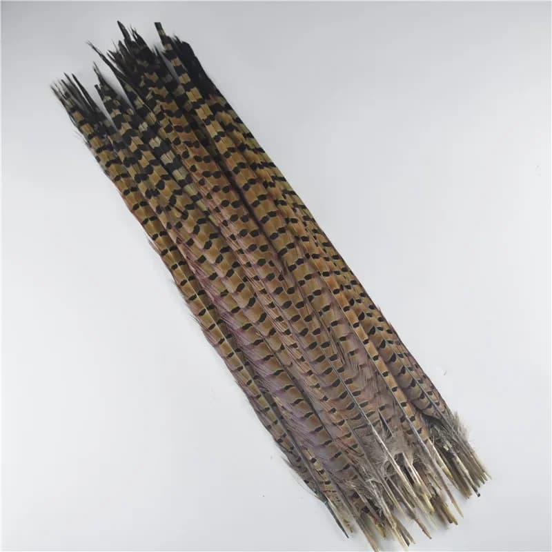 Plumes de faisan colorées à col rond, 40-45CM, 16-18 pouces, pour l'artisanat, noires et blanches, l