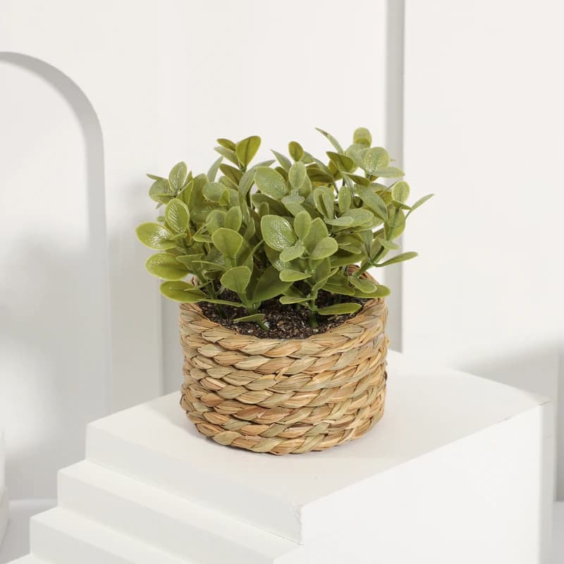 Plante en Pot petites fausses plantes, décoration intérieure pour la maison, Pot décoratif pour salo