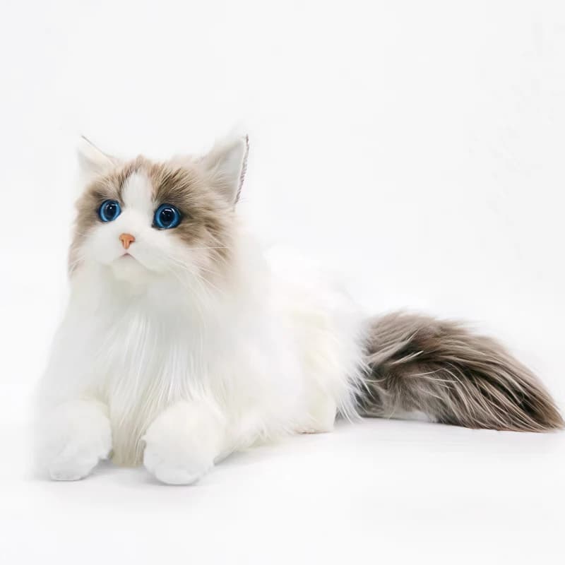 Jouet en peluche réaliste chat doux Simulation chat poupée cadeau pour enfants compagnon âgé confort