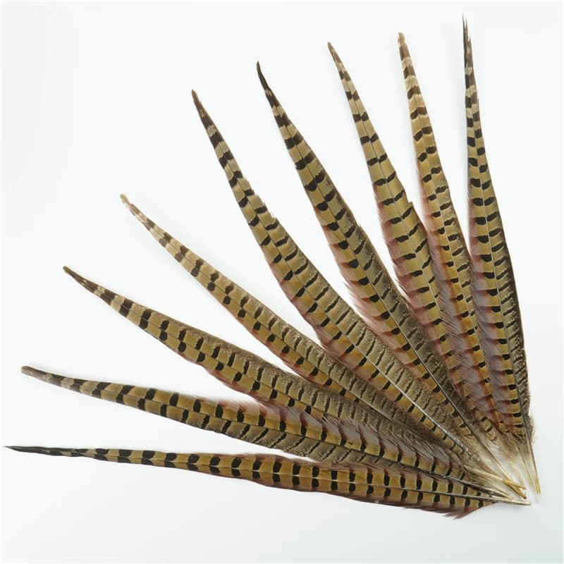 Plumes de faisan colorées 40-45cm, plumes naturelles longues, décoration de fête de mariage, centres