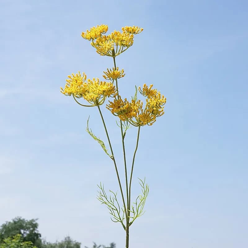 3 fleurs artificielles en dentelle de mousse, fleurs en soie à longue tige, fleurs sauvages pour déc