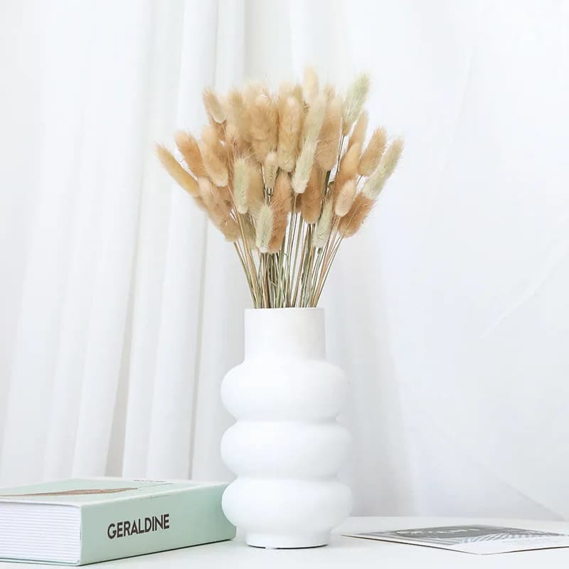 60 pièces mélange queue de lapin herbe naturel Lagurus Ovatus Pampas fleurs séchées Bouquet Floral d