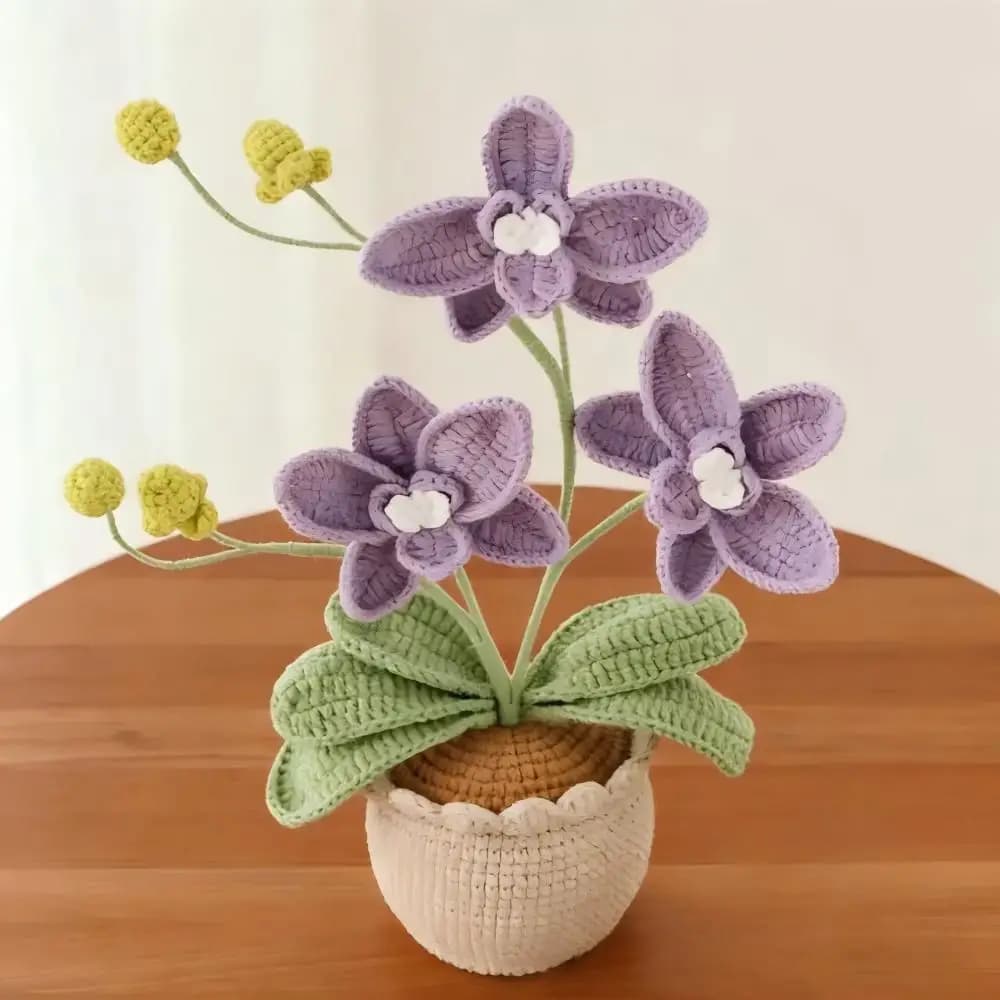 Nouvelle plante en pot en laine, orchidée à 3 têtes et 5 feuilles, faite au crochet à la main, une d