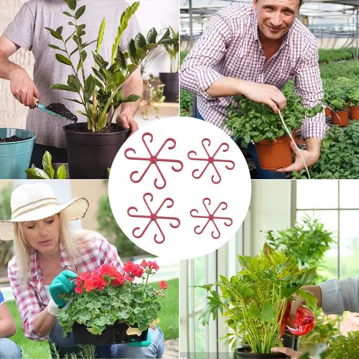 Supports de tiges pour plantes d'intérieur, 4 pièces, supports pour plantes grimpantes, support de tige pour Alocasia, pour jardin intérieur/extérieur, balcon, Pothos