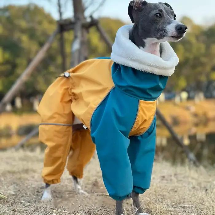 Mid Chien Vêtements En Hiver 4 Pattes En Peluche Bleu-Jaune Veste Coupe-Vent Imperméable Huibit Manteau Imperméable Chaud Pour L’Italie Greyhound