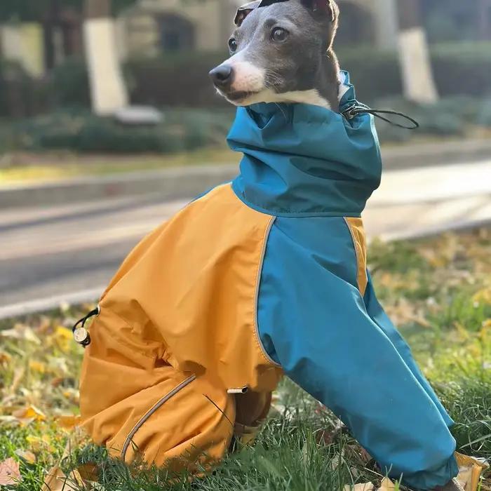 Mid Chien Vêtements En Hiver 4 Pattes En Peluche Bleu-Jaune Veste Coupe-Vent Imperméable Huibit Manteau Imperméable Chaud Pour L’Italie Greyhound