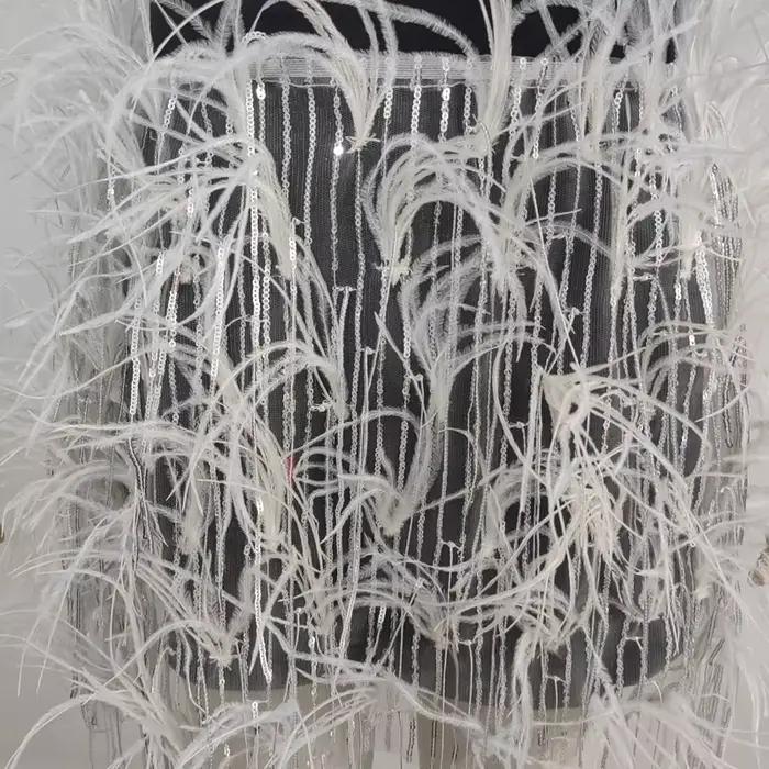 Mini jupe transparente en vraie plume, envelopper la poitrine, deux façons de porter, vêtements à taille élastique, jupe courte de fête, haut tubulaire