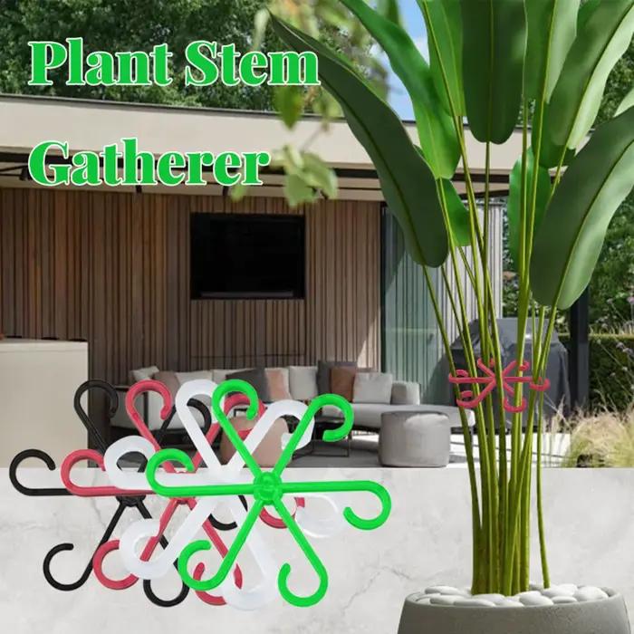 Supports de tiges pour plantes d'intérieur, 4 pièces, supports pour plantes grimpantes, support de tige pour Alocasia, pour jardin intérieur/extérieur, balcon, Pothos