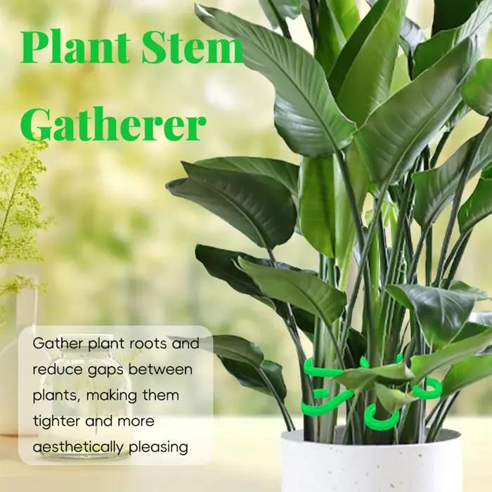 Supports de tiges pour plantes d'intérieur, 4 pièces, supports pour plantes grimpantes, support de tige pour Alocasia, pour jardin intérieur/extérieur, balcon, Pothos