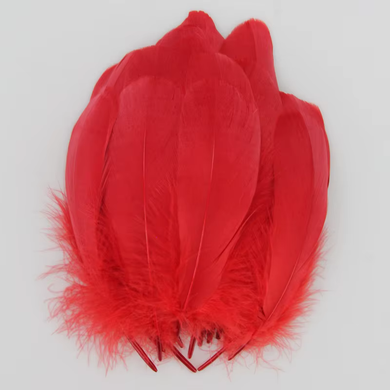 Plumes d'oie de haute qualité, 13-20cm de long, pour robe artisanale, vêtements, chapeaux, embelliss