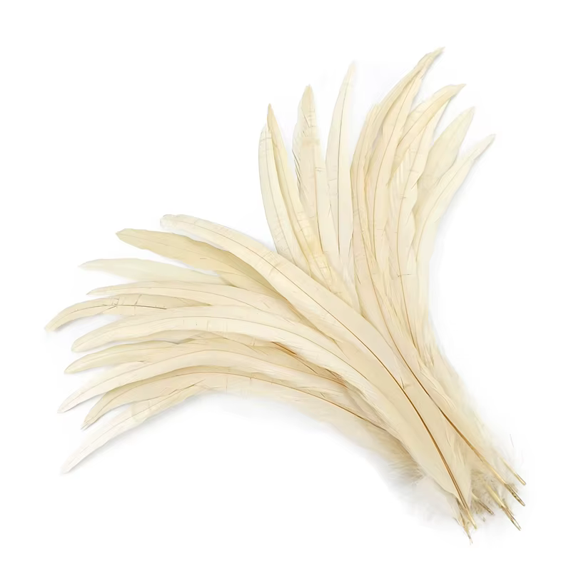 Plumes de queue de coq pour l'artisanat, décoration jetable, coiffure, accessoires de carnaval, plum