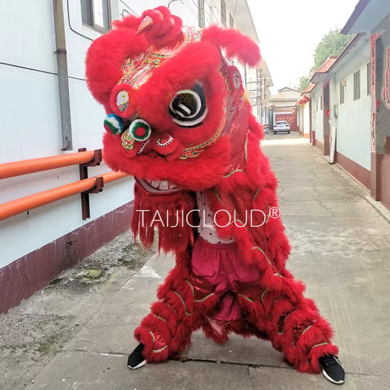 Accessoires de danse du Lion du sud pour adultes, utilisation à double performance, lanterne de drag