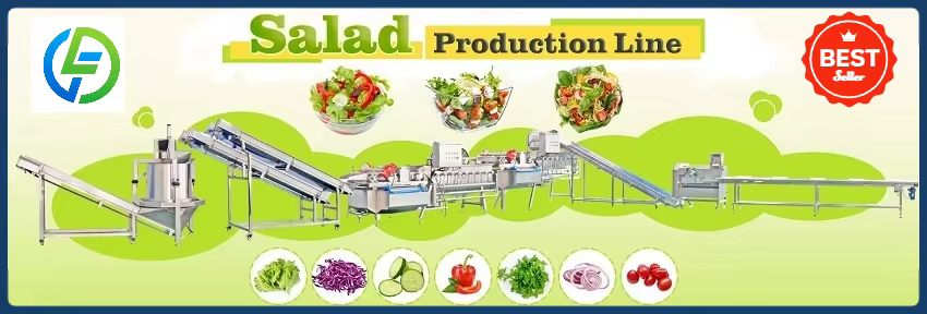 Ligne de traitement de salade longue durée de vie Ligne de production de légumes Ligne de séchage de
