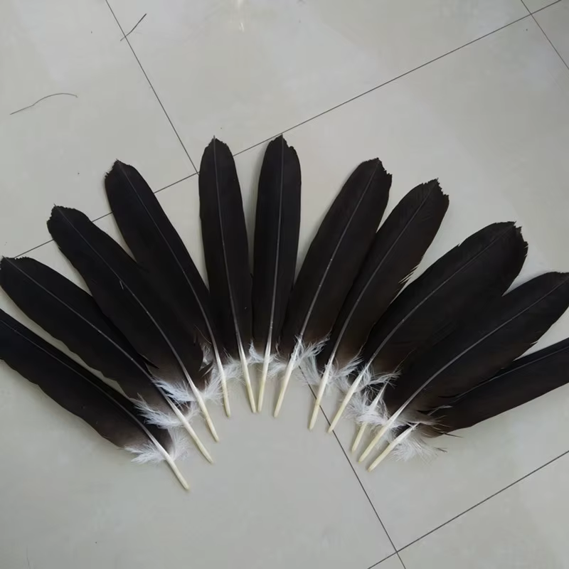 Lot de 12 plumes naturelles rares en forme de queue d'aigle, longueur de 40 à 45 cm, 16 à 18 pouces,