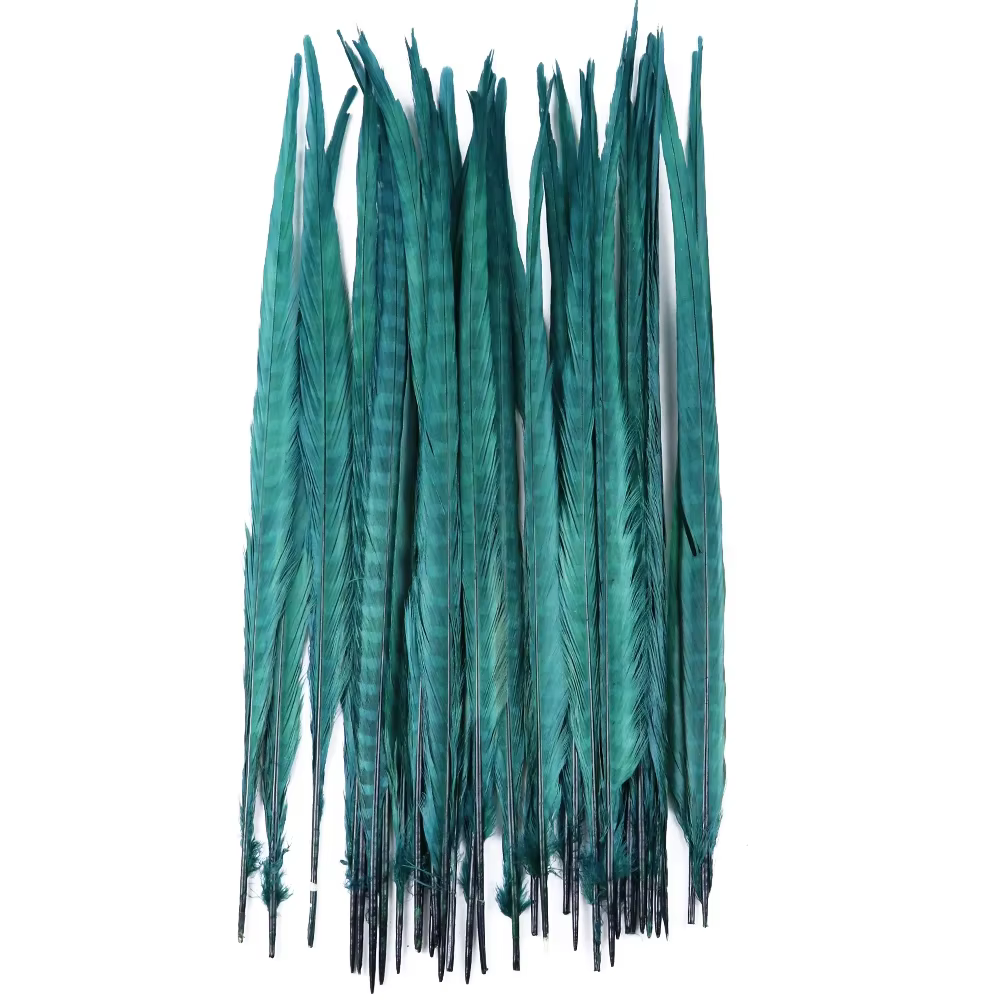 Plumes de queue de faisan naturelles, 10 pièces/lot, bleu turquoise, blanchies et teintes, longues, 