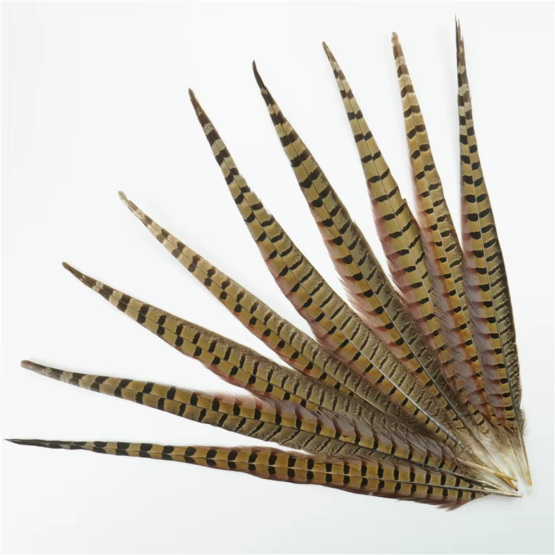 Plumes de faisan colorées 40-45cm, plumes naturelles longues, décoration de fête de mariage, centres