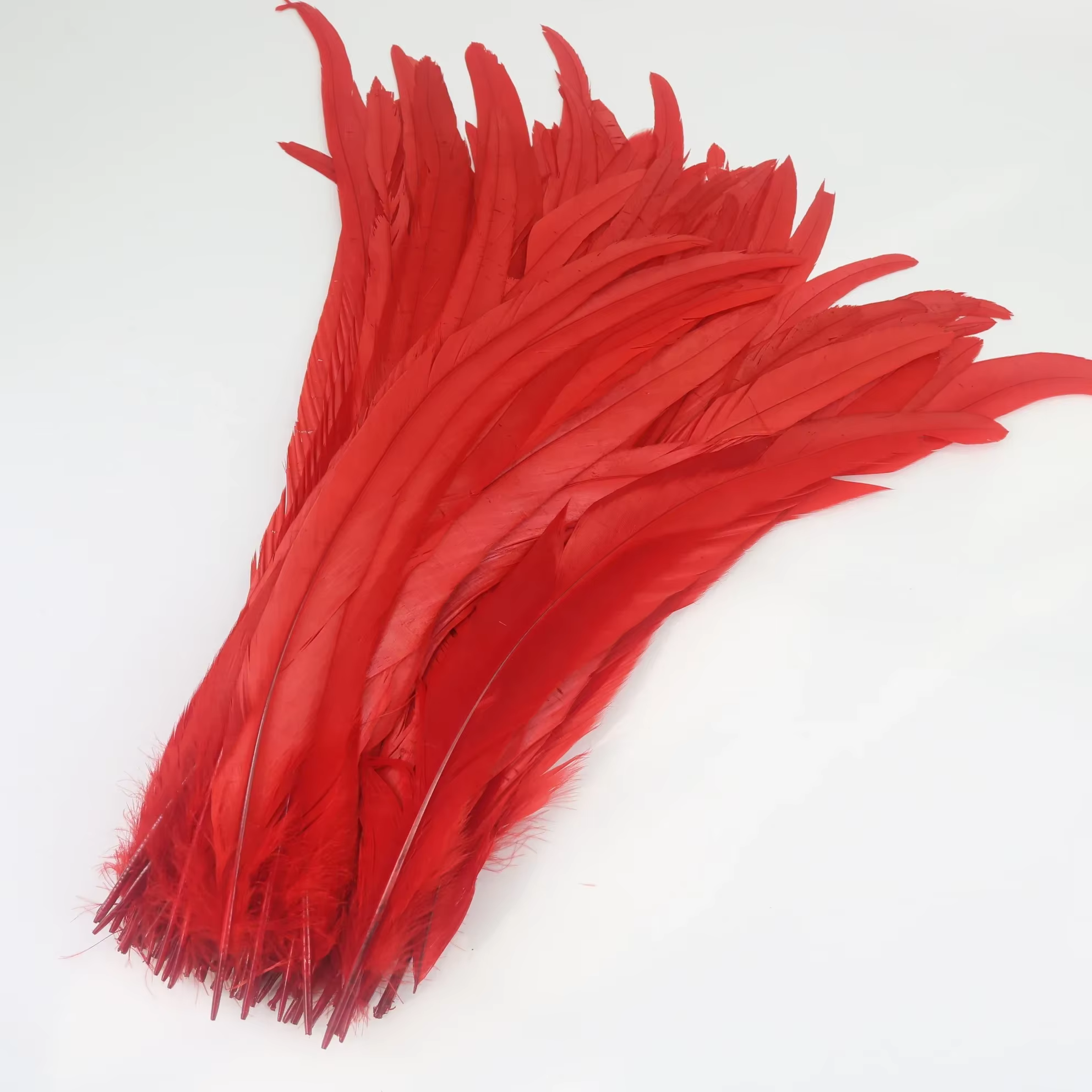 Plumes de queue de coq 40 à 45cm, 100 pièces, accessoires de coiffure indienne, plumes de carnaval,