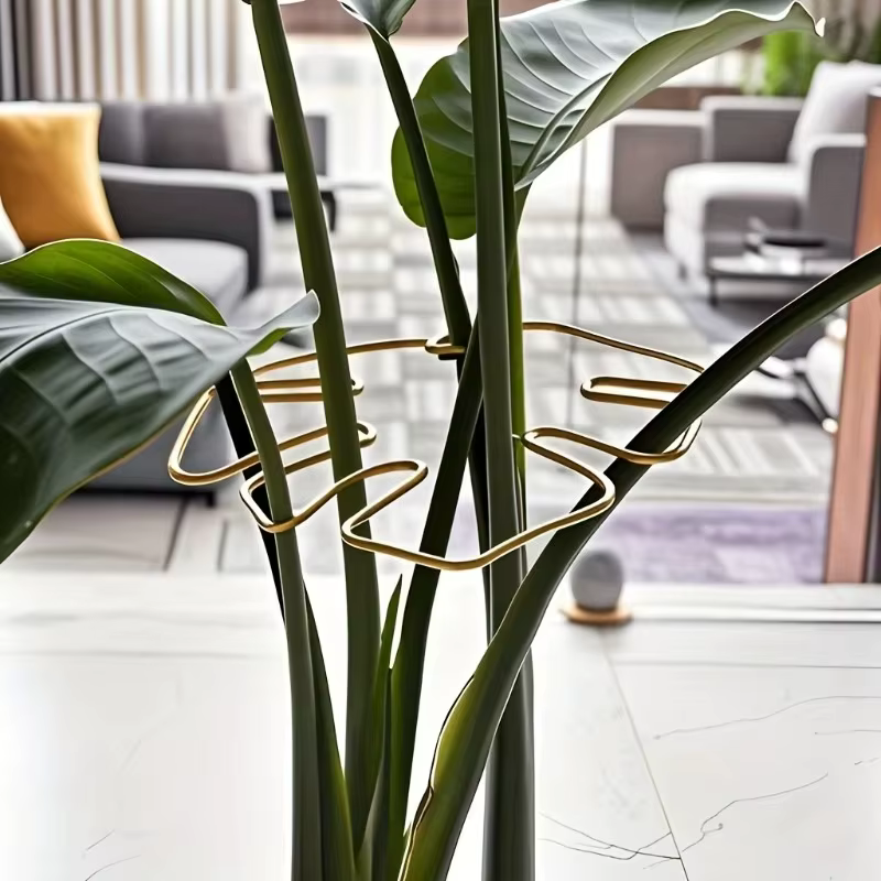 Grand cadre de Support pour plantes Monstera, tiges d'escalade robustes, stabilisateur de feuilles,