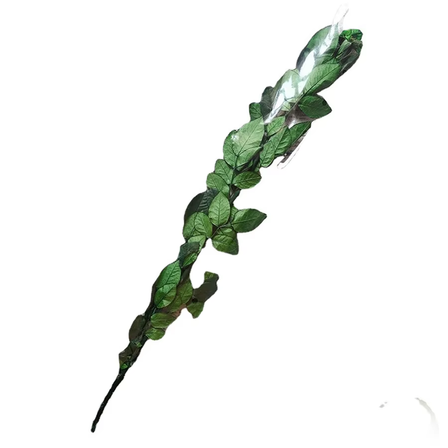 Tige de Rose éternelle conservée, longue branche florale naturelle, matériel d'arrangement Floral