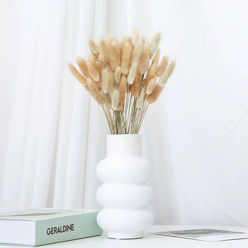 60 pièces mélange queue de lapin herbe naturel Lagurus Ovatus Pampas fleurs séchées Bouquet Floral d