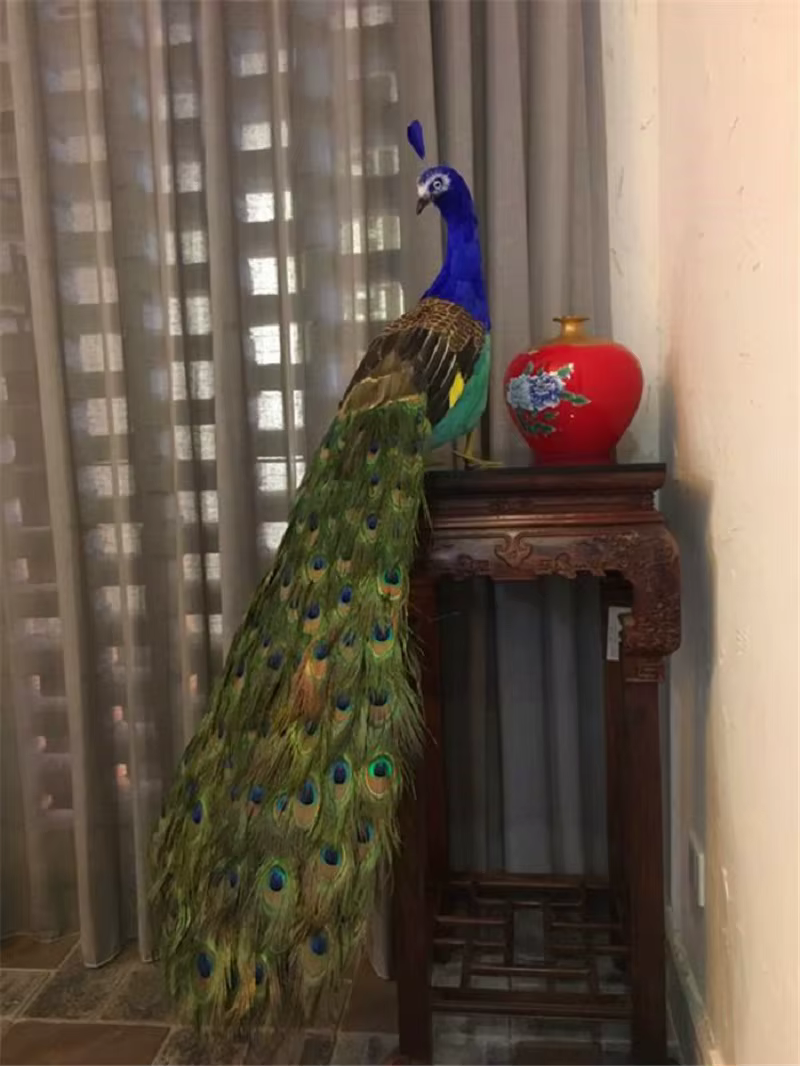 Modèle de paon à queue longue de 120 cm, réaliste, en mousse colorée et plumes véritables, magnifiqu
