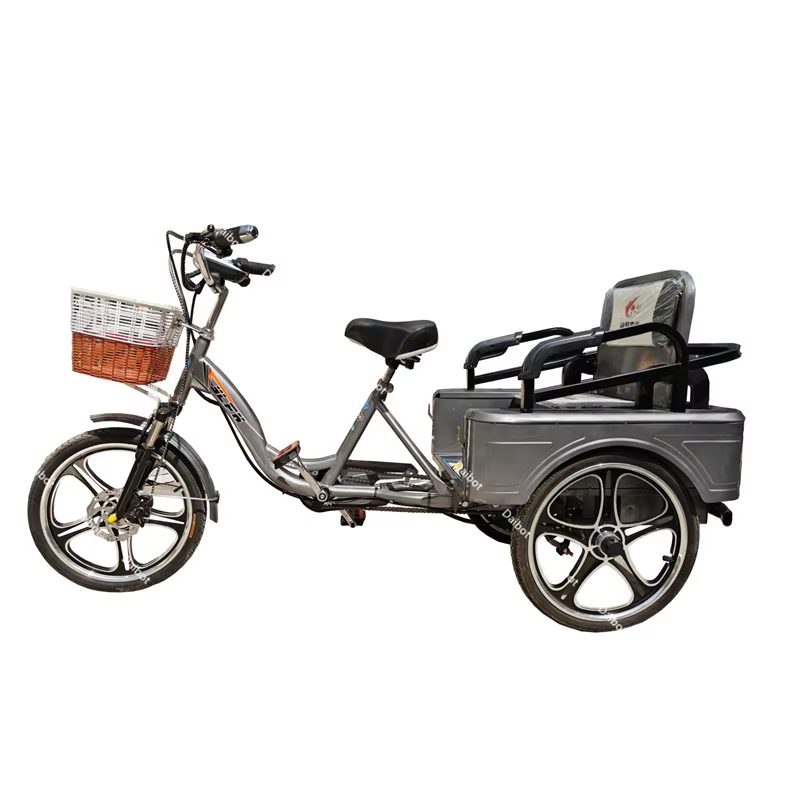 Tricycle électrique longue portée pour femme avec passagers, vélo électrique à 3 roues pour adulte, 