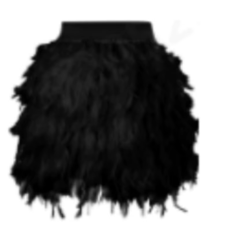 Jupe en plumes à ourlet irrégulier, robe de scène, style européen urbain